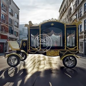 OEM, los últimos suministros funerarios personalizados, coche fúnebre, transporte especial, caballo fúnebre de plata, coche fúnebre, coche fúnebre eléctrico para caballos a la venta - Product Image 3