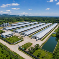 Poulailler préfabriqué en structure acier bio-sécurisée, environnement sain, abri de couvaison, complexe avicole moderne et automatisé