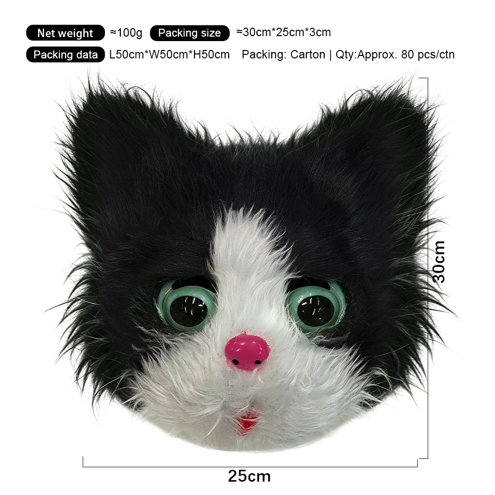 Black-White Cat