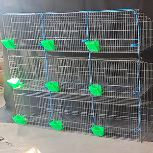 Kapalı metal broiler tavşan ve kafesleri tavşan oranı tepsi mat tiryakisi besleyici sistemi tam aksesuarları - Product Image 3