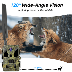 Ai Powered 4G săn bắn máy ảnh năng lượng mặt trời có thể sạc lại pin động vật hoang dã phát hiện 64mp 4k ngoài trời <span class=keywords><strong>Trail</strong></span> <span class=keywords><strong>Camera</strong></span> - Product Image 4