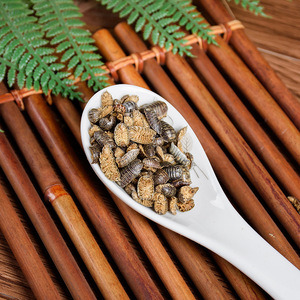 Shu fu chong insectes naturels herbe séchée brute Porcellio scaber commune buis à <span class=keywords><strong>bois</strong></span> pour herbe - Product Image 4