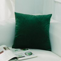 American Styles 18X18 Plush Velvet Reversible Waterproof Plant Cushion Cover Woven Techniquen Pillows