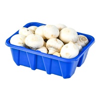 Ventes chaudes : Barquette jetable en plastique PET pour viande, légumes et champignons frais