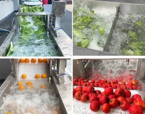 Manufacturer's <b>Fruit</b> <b>Processing</b> Equipment Leaf <b>Vegetable</b> Pesticide Residue Washing <b>Machine</b> with Core Engine Component - Product Image 2