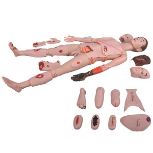 Maniquí de entrenamiento para el cuidado de las heridas, modelo médico de alta calidad, función completa, para lesiones, enfermería - Product Image 1