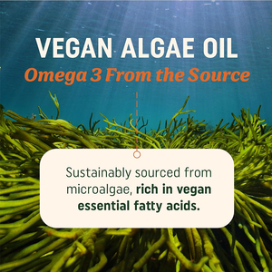 Fabricant en gros de compléments végétaliens d'Oméga 3 à base d'huile d'algues, DHA et EPA végétaux pour la santé cérébrale, gélules d'Oméga 3 végétaliennes - Product Image 2