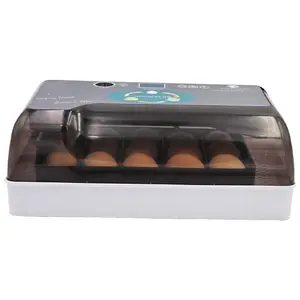 Huevo incubadora 12pcs Mini huevo incubadora y nacedora con pantalla electrónica incubadoras de huevos para incubar en venta