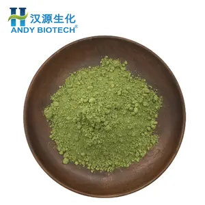 Niedrigster Preis Lieferant Bio-zertifiziertes Matcha-Pulver mit grünem Tee