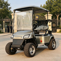 Carrito de Golf Eléctrico de 2 Plazas con Cargador Solar, Fuera de la Red, para Campamentos Ecológicos, Precio de Fábrica