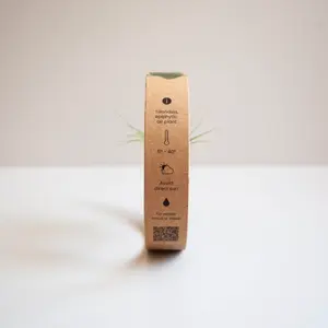 Tiland Zero, pianta senza aria, merchandising sostenibile - Product Image 3