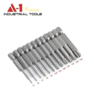 Factory wholesale T5 T8 T10 T15 T20 T25 T30 T35 T40 torx screwdriver bits