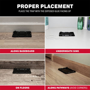 Trampas Adhesivas para Ratones y Ratas, Trampas de Pegamento No Tóxicas para Interiores, Trampa para Topos, Trampa para Ratones Fuerte y Adhesiva, Almohadilla de Pegamento para Ratones Grandes - Product Image 6