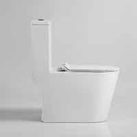 WC monobloc South Villa Nouveau Modèle avec siphon P/S, design anti-gel, chasse d'eau Tornado et Vortex pour salle de bain