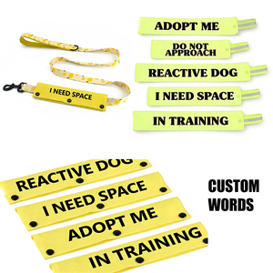 Housse de laisse personnalisée pour chien en nylon, ensemble de laisse pour chien, manchon de laisse pour l'entraînement et la gestion du stress - Product Image 2