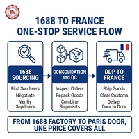 Agent d'approvisionnement maritime DDP France, consolidation d'entrepôt, dropshipping Shopify, fulfillment porte-à-porte, 20-25 jours