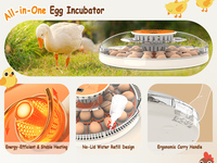 WONEGG Super Promotion 30 incubateurs solaires pour œufs de poule, caille et canard, pièces détachées