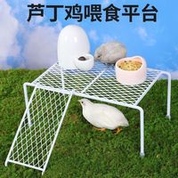 Kit d'habitat de caille à boutons le plus vendu: étagère à grille durable, plate-forme d'alimentation, bol de nourriture et abreuvoir