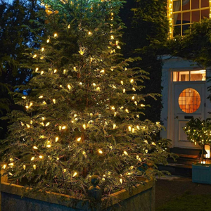 Ngoài trời IP44 đồng không thấm nước Pinecone hình <span class=keywords><strong>LED</strong></span> chuỗi đèn Cây giáng sinh chi nhánh vườn đèn trang trí - Product Image 6