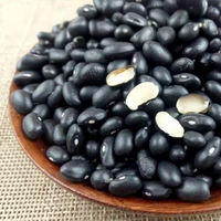Haricots noirs séchés riches en fibres, vente en gros, directement de l'usine, origine Chine continentale, paquets de 250g