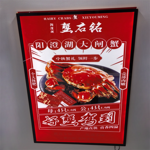 Ultra-thin <strong>LED</strong> <strong>Light</strong> <strong>Box</strong> Billboard, Wall-<strong>mounted</strong> <strong>Light</strong> <strong>Box</strong>, Hanging Picture <strong>Light</strong> <strong>Box</strong> for Stores and Restaurants - Product Image 3
