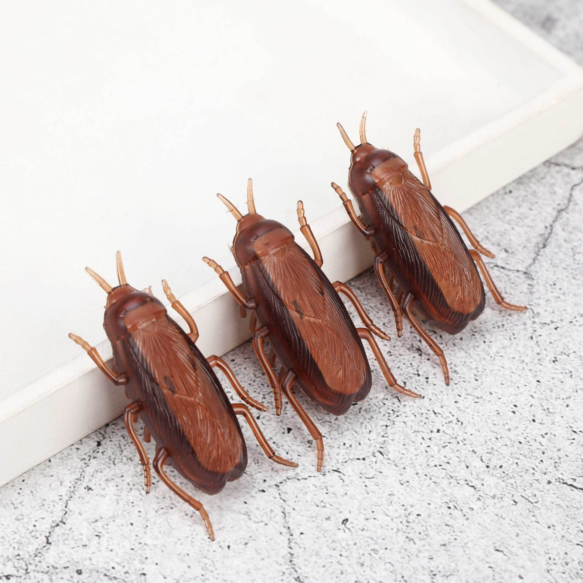 Cat Toy Chew - Durable Exotic Pet Toy Emulating Cockroach