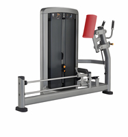 Machine d'entraînement des biceps à charge par poulie en acier, ensemble complet d'équipement de gym commercial