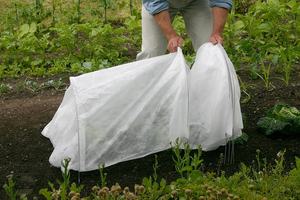 Polaire Plante <span class=keywords><strong>Tunnel</strong></span> Bas Cloche Protection <span class=keywords><strong>Mini</strong></span> Serre De <span class=keywords><strong>Jardin</strong></span> <span class=keywords><strong>pour</strong></span> La Saison et Hiver Jardinage - Product Image 4