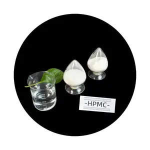 Chất lượng cao hydroxypropyl methylcellulose nguyên liệu Virgin HPMC bột dày đại lý cho ngành công nghiệp sơn.