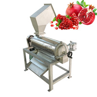 Oem Pulper Machine Fruit Zaad Remover Puree Maker Granaatappel Aril Mango Cherry Oranje Aardbei Squeezer Machine