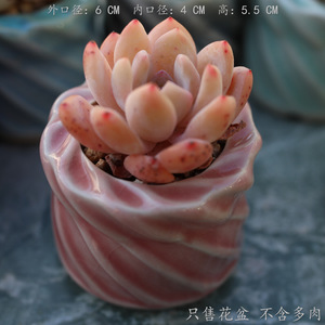 Nouveaux pots en céramique HY7 style craquelé pour plantes succulentes – Mini-contenants respirants et adorables pour plantes vertes et <span class=keywords><strong>Lithops</strong></span> - Product Image 4