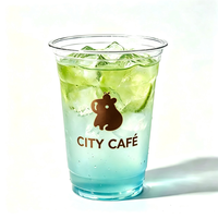 Gobelets personnalisés en PET de 500 ml (16 oz) pour café, boba, avec couvercles et gobelets en papier anti-fuite pour jus, champagne et boissons froides pour mariages et fêtes