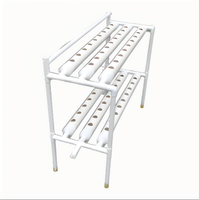 Système de culture hydroponique vertical cylindrique pour ananas, pour intérieur/extérieur/jardin, économiseur d'eau, petit format, pour la culture de légumes