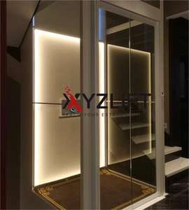 Lift EN81-41 2 lantai Lift hidrolik, untuk rumah Villa harga rendah perumahan Lift rumah penggunaan dalam dan luar ruangan - Product Image 2