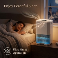 Déshumidificateur compact multifonctionnel avec étiquette personnalisée: dégivrage automatique, LED colorée, fonction veille avec matériau élevé