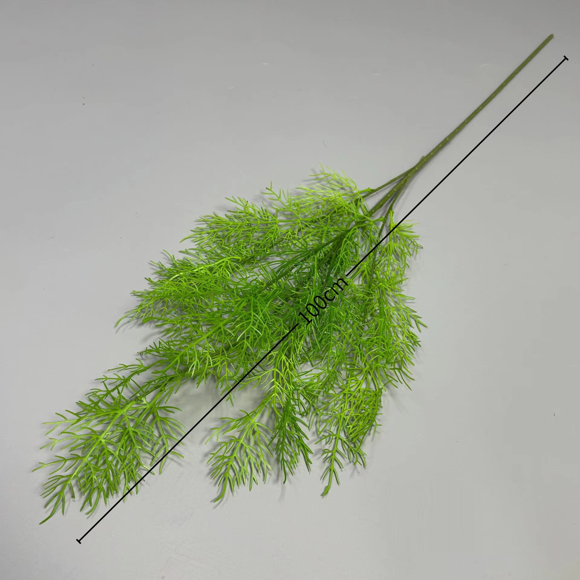 Vert clair ample et frais