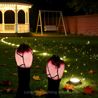 Œuf Lumineux de la Série Avatar |   Lumière LED à changement de couleur pour la méditation, les cadeaux et les paysages fantastiques