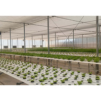 Fabricant professionnel de canaux en PVC sur mesure pour l'agriculture, les plantes commerciales, l'économie d'eau, l'hydroponie, système NFT