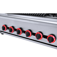 Grill à gaz de table au GPL ou au gaz naturel, grill à roche Rava commercial, four à barbecue