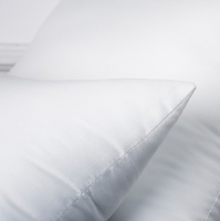 Vente en gros de coussin carré en coton blanc personnalisé confort canard oie insert de base technique de massage gonflable coussin tissé WS