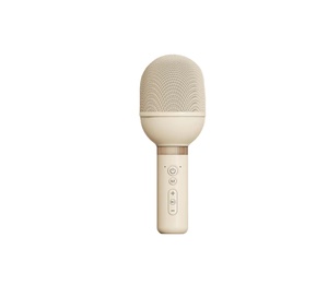 Micrófono Inalámbrico para Niños con Altavoz - Product Image 4