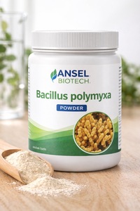 ผงบาซิลลัส โพลีมิกซ์ แหล่งกำเนิดในประเทศไทย - Product Image 2