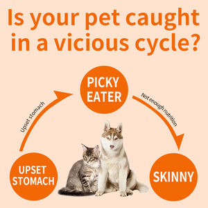 Omega-3 Salmão Óleo de Peixe Suplemento para Cães Alergia Alívio Imunidade Mastiga Probióticos Anti-Coceira Hot Spots Tratamento para Cães Gatos - Product Image 3