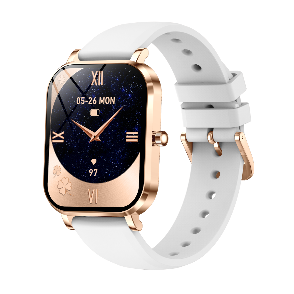 Marco de oro rosa + correa de silicona gris