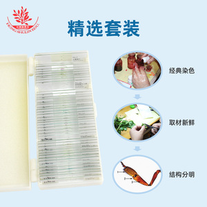 Biological Specimen Slide Set (25 slides / 50 slides) - Brand New Combination, Clear and Vivid Content, <b>Microscope</b> Accessories, - Product Image 2