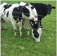 Clôture en treillis métallique galvanisé perforé pour bétail et moutons, vente en gros d'usine