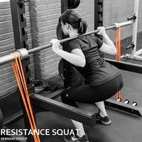 Bandas de bucle de ejercicio de resistencia pull-up Power Assist Loop para gimnasio Fitness Workout Bandas de yoga Categoría de producto específica