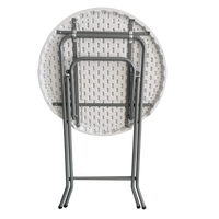 Table pliante en plastique portable pour l'extérieur/Table pliante de plage pour enfants/Table pliante ronde en plastique