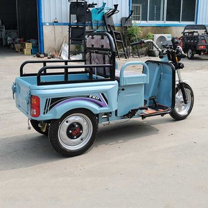 Tricycle <span class=keywords><strong>Cargo</strong></span> <span class=keywords><strong>Électrique</strong></span> Polyvalent Mini 2025 pour Personnes Âgées à Vendre - Product Image 3