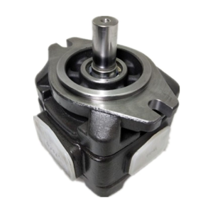 ปั๊มเกียร์เครื่องฉีดพลาสติกไฮดรอลิกซีรีส์ CP1-50/63-P-10R CP1-32-P-10R รุ่น CP1-63-P-10R-36 ของ HYTEK - Product Image 4